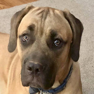 Meet your Posher, Leah